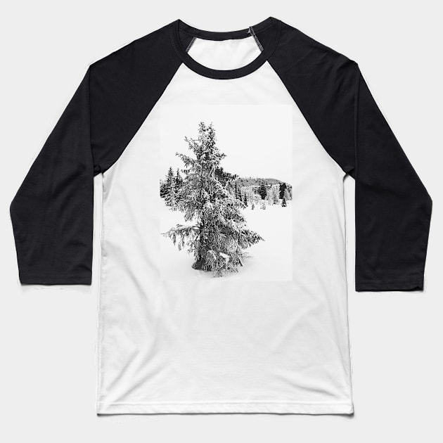 Black and White Shot of Snow-Covered Fir Tree in Frozen Winter Landscape Baseball T-Shirt by visualspectrum